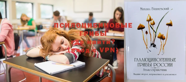 PSILOCYBIN Богданович