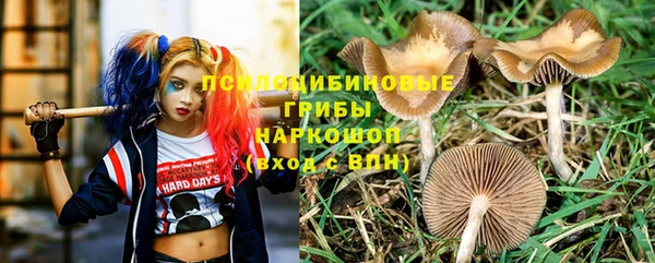 PSILOCYBIN Богданович