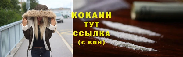 сатива Богородск