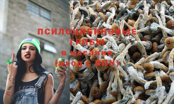 стаф Богородицк